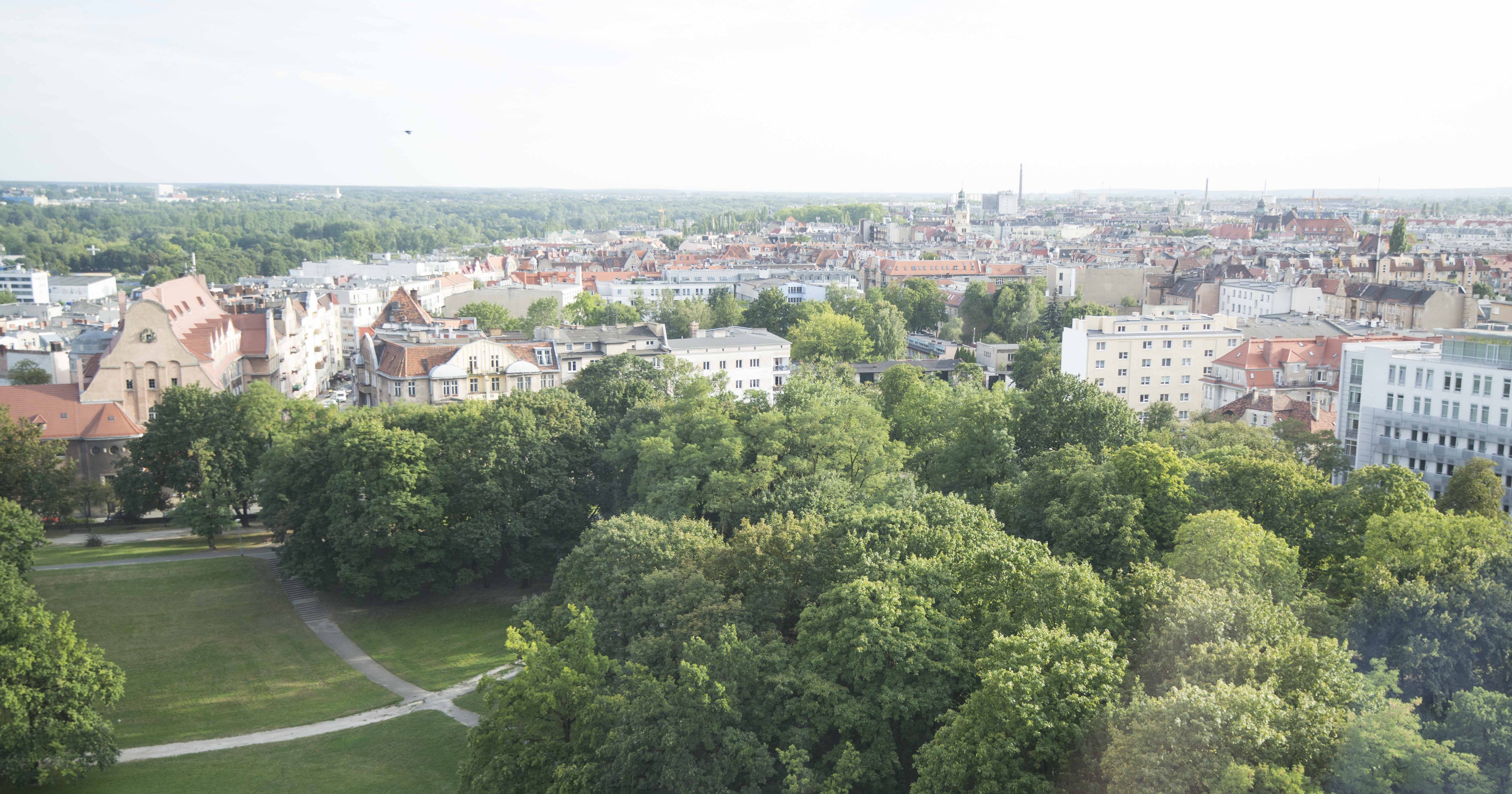 Walka z niską emisją